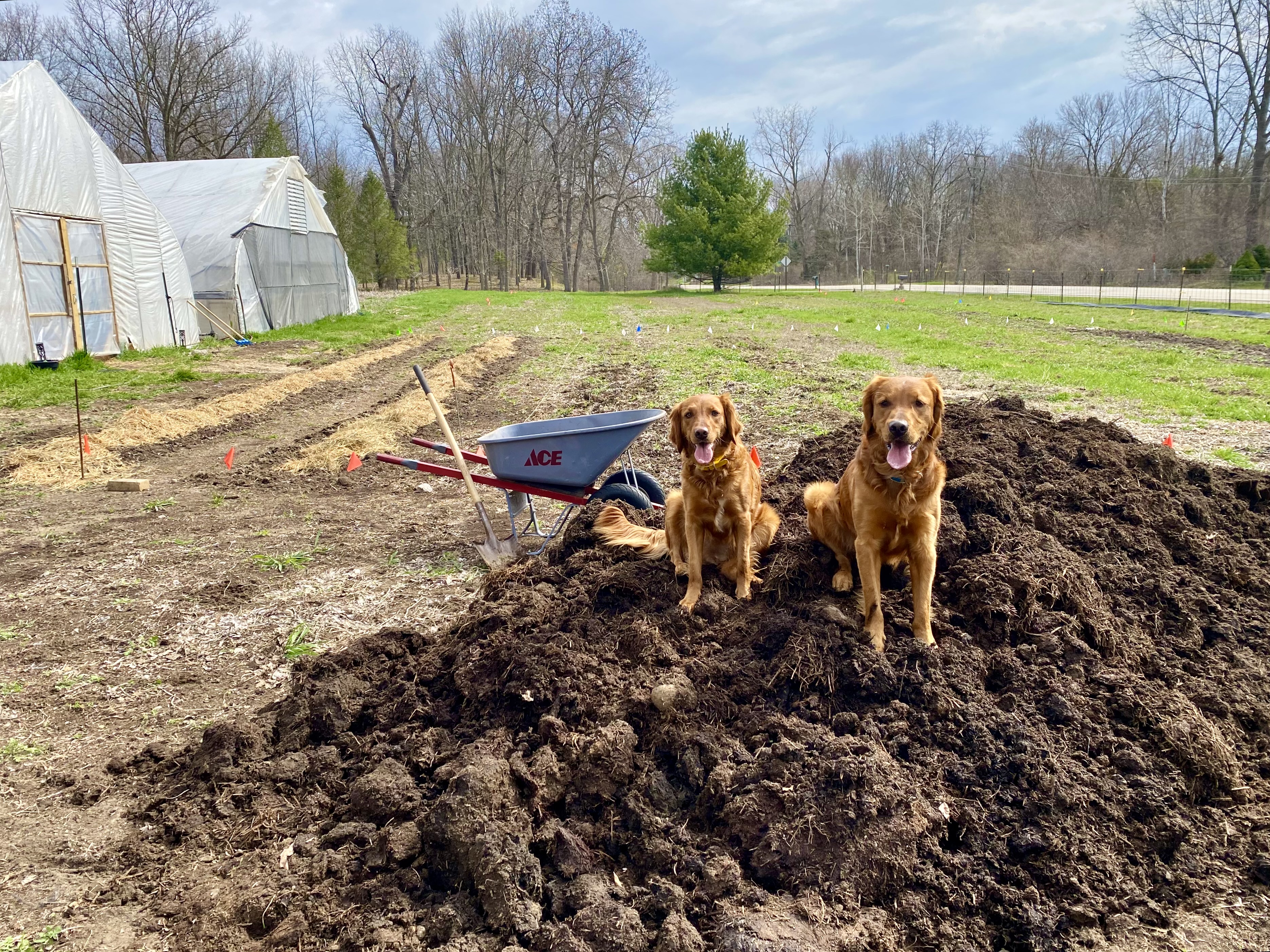 Blooms on Hay Creek in Hamburg, MI, April 2026, prep for it all.